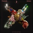 Solvane & Prismode - Eyes