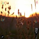 Qhoryndix Zylphator & Cha Se-Eun - Xelvaryth Zyqendor (Original Mix)