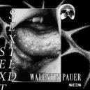 Walentin Pauer - Sexted (Ludmila Fuks Remix)