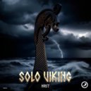 Solo Viking - Hoist