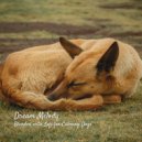 Lofiwaala & Dream Dogs & Dog Calming Music All-stars - Relaxing Piano ()
