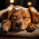 Jukebox de música para perros & Sonidos del clima & Pájaros Escandinavos - Serenas Melodías Caninas