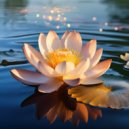 Noise Spectators & Rosy Pink Rush & Relaxed Skies - Sounds to Still the Mind ()