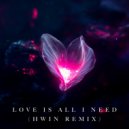 HWIN - Love Is All I Need (HWIN Remix)