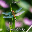 Denzel Brooks - Ferry Of Happiness ()