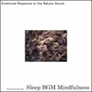 Sleep BGM Mindfulness - Neural Embrace of Solfeggio Whispers (Original Mix)