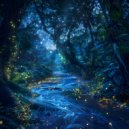 Adriaan  de Groot - Impromptu of Celestial Dreams ()