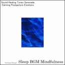 Sleep BGM Mindfulness - Soft Whispers of Cognitive Training in a Night's Reprieve
