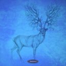 Ahrwald - Spacecraft