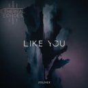 Zoldiex - Like You