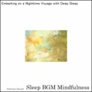 Sleep BGM Mindfulness - Energizing the Spirit with Harmonious Soundwaves (Original Mix)