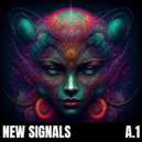 Koda Paradise - New Signals ()
