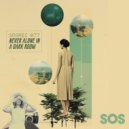 Never Alone In A Dark Room - I Don\'t Give A Fk ! (Wake Me Up)