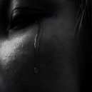 cold punk rat - technique ()