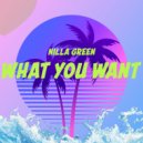 Nilla Green & Nilla Green - What You Want (RnB House Mix)