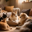 Cozy Pet Music & Music Moments & Natural Element - Pets Calm Journey