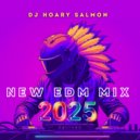 DJ Hoary Salmon - Neon Nights 2025 ()