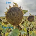 Dj Meros - Playing In Dubstep ()