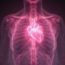 Egor Snob - Jersey Love ()