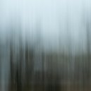 Flying Tulpa - To Be Whole Again ()