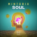 Mintorix - Soul (Original Mix)