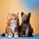 Melodía de sueño para animales & Soledad tranquila & Grabación de lluvia - La Pausa A Cada Paso