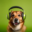 Musica Relajante para Perros Clasico & Súper Naturales & Sonidos Del Bosques - El Silencio De Un Corazón Contento
