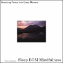 Sleep BGM Mindfulness - Floating in the Echoes of Brain Harmony for Deep Rest (Original Mix)