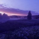 LxNz - ambience (slowed + reverb)