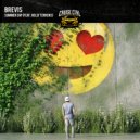 Brevis feat. Holly Terrens - Summer Day (Original Mix)