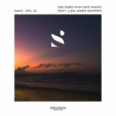 SAINT., EFA, Æj - She Does What She Wants (feat. Luke James Shaffer) (Original Mix)