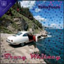 Vottovaara - System Dream ()