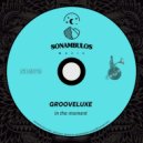 GrooveLuxe - In the moment