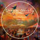 Dream Wisely - Let Go (Extended Instrumental Mix)