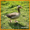 The Flashpot Moments - In Defense of Low Art ()