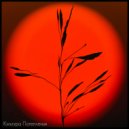 Destruct2Nation - Apagón ()