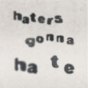 feel de vibe? - Haters Gonna Hate ()