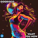 GooDisco - Want You Now
