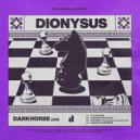 DARKHORSE (AU) - Dance To The Drum