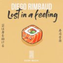 Diego Rimbaud - Lost in a Feeling (Original Mix)