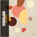 Nuphonic - On Night Long (Original Mix)