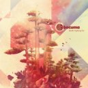 Bocuma - No Wednesday