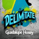 Guadalupe Hosey - Delimitate (Original Mix)
