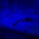 inquest - Reliquid ()