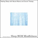 Sleep BGM Mindfulness - Mental Harmony with Deep Sleep and Soundscapes (Original Mix)