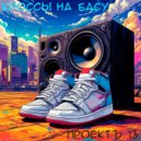 ПРОЕКТЪ 13 - КРОССЫ НА БАСУ ()