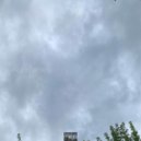 ctrlfeels - hibiscus ()