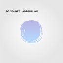 DJ Volnet - Come Back to Earth ()