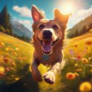 Dog Beats & Binary Beats & Underwater Sounds Channel - The Pitter-Patter Of Feet In The House