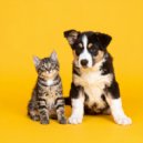 Musicoterapia para el cuidado de mascotas & Ballenas sónicas & Entrenamiento de ondas cerebrales de  - Suaves Patitas, Barras Suaves ()